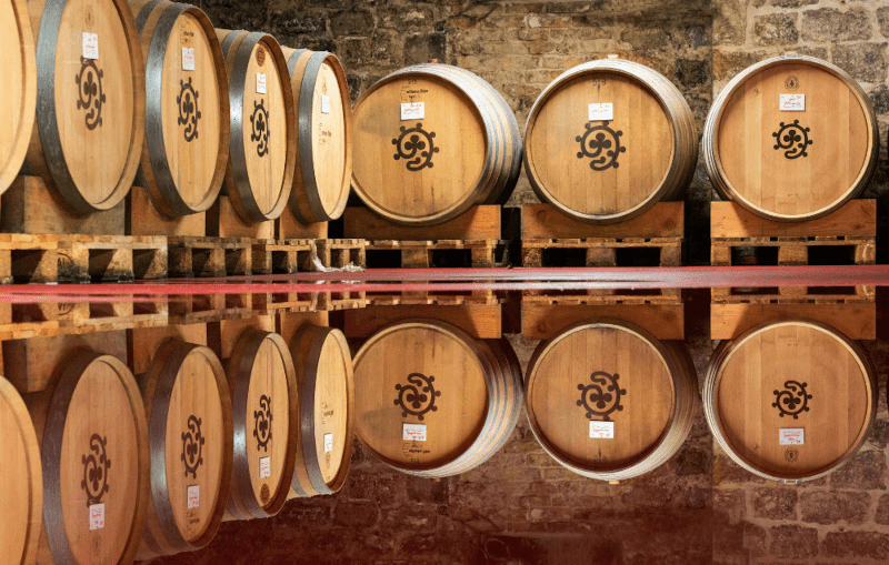 ハンメル樽セラー