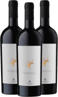 3er Vorteils-Weinpaket - Settebraccia Rosso - Cantina Sampietrana