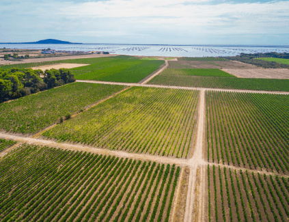 Domaine de Belle Mare テロワール