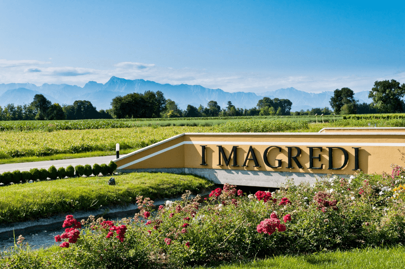 ワインセラーの入り口 I Magredi