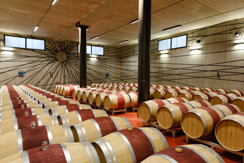 テヌータ・ルーチェのセラー