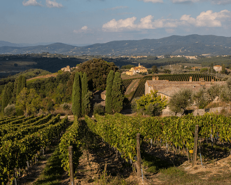 テヌータ・ペッポリ テヌータ・ペッポリ