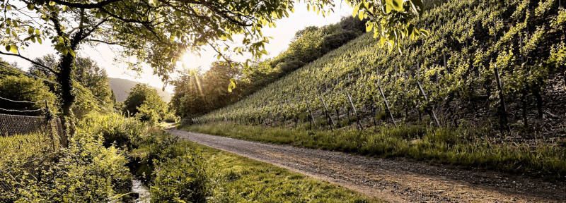 アルテンフォーストの場所