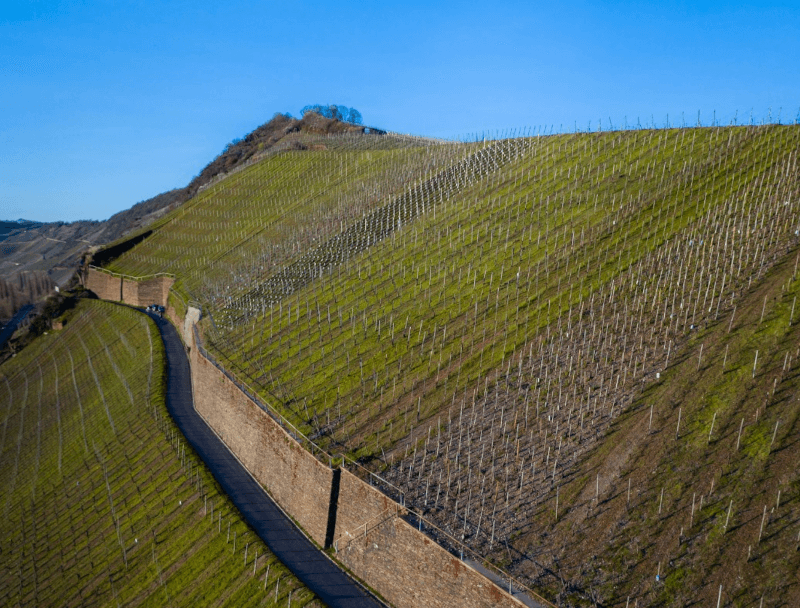 グランスファシアンベストゲレンデ グランスファシアンベストゲレンデ