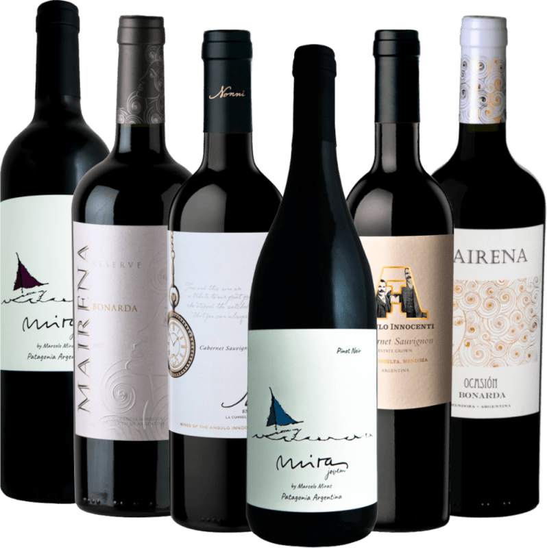 アルゼンチンの隠れたワインの宝物、VINELLOによる - 6本セット探求パッケージ