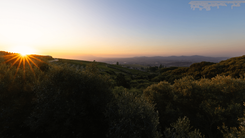 Afrikanischer Sonnenuntergang über Weinbergen von Stellenbosch Afrikanischer-Sonnenuntergang-ueber-Weinbergen-von-Stellenbosch