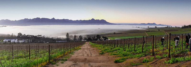 霧の中のデ・モルゲンゾン