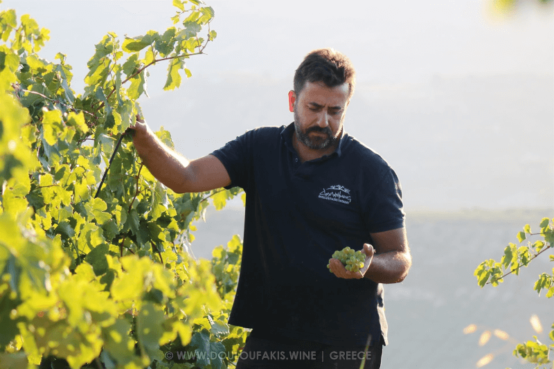 Douloufakis Winery Winzer Douloufakis Winery Winzer