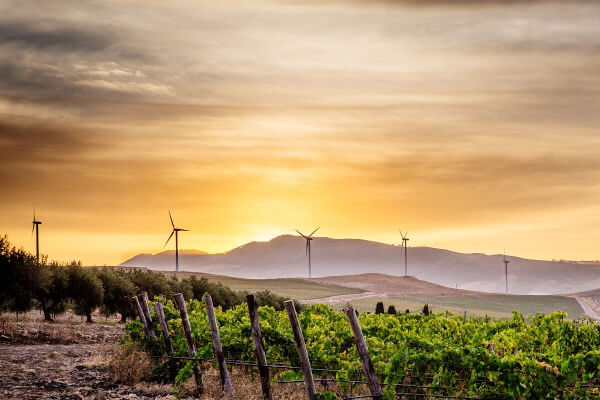 ブランチフォルティにおけるモダンと伝統