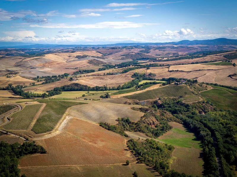 Casanova di Neri Weinberge