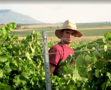 フィリアートでの収穫 フィリアートでの収穫