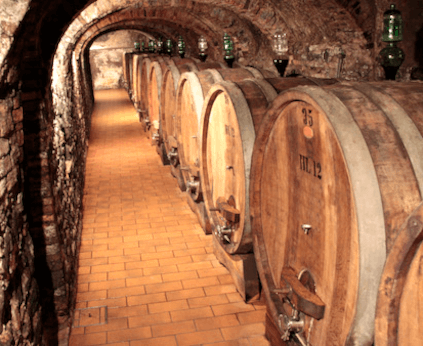 コッロソルボのセラーにて