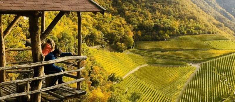 Weinberge im Jahresverlauf Prackfol Weinberge im Jahresverlauf Prackfol