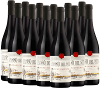 タガロ SLR「パッソ・デル・スッド アパッシメント プーリア IGP」12本お得パック