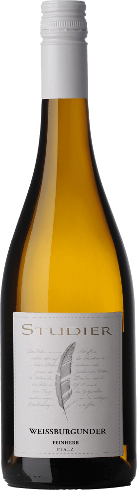 プレビュー: 6er Kennenlern-Weinpaket - Das Grundstudium vom Weingut Studier