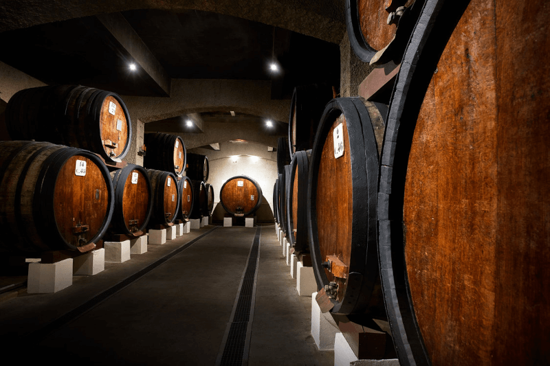 セリエ・デ・プランス ワインセラー