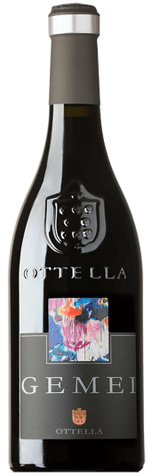 プレビュー: Campioni del Nord - 北イタリアワイン発見パック 6本セット