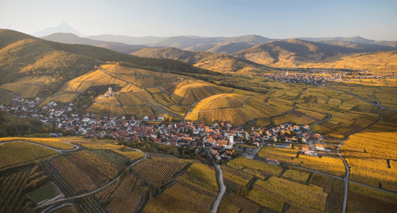 ドメーヌ・マルセル・デイスの周辺環境 ドメーヌ・マルセル・デイスの周辺環境