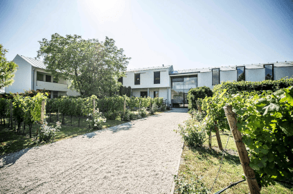 ワイナリー「クラッカー