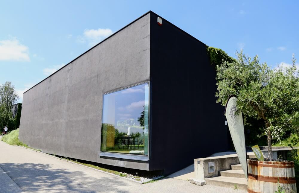 ワイナリー ロイマー管理部門 試飲とセラーへの階段