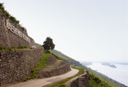 リューデスハイマー・ローゼネックは、力強いリースリングを造るのに最適な場所のひとつと言われています。