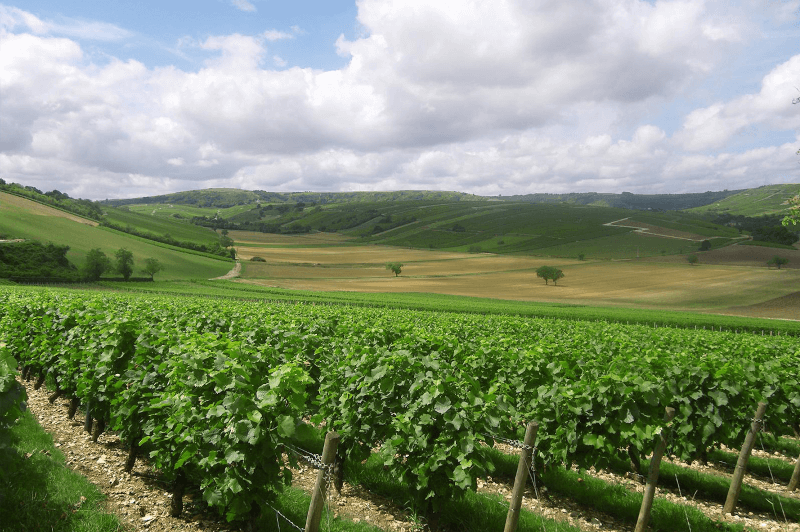 ロワール=タリー ロワール渓谷