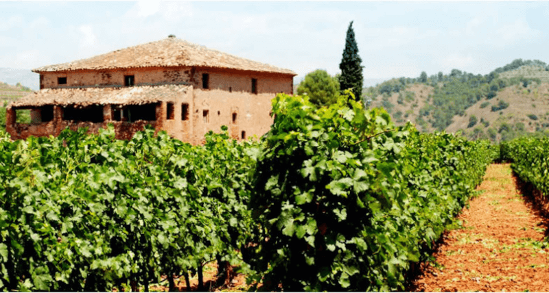 ザ・マナーハウス ザ・マナーハウス