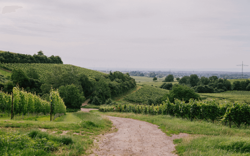 ヴィラ・ホフドーヴァーの風景