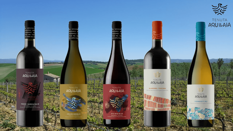 Weingut Azienda Uggiano Lineup