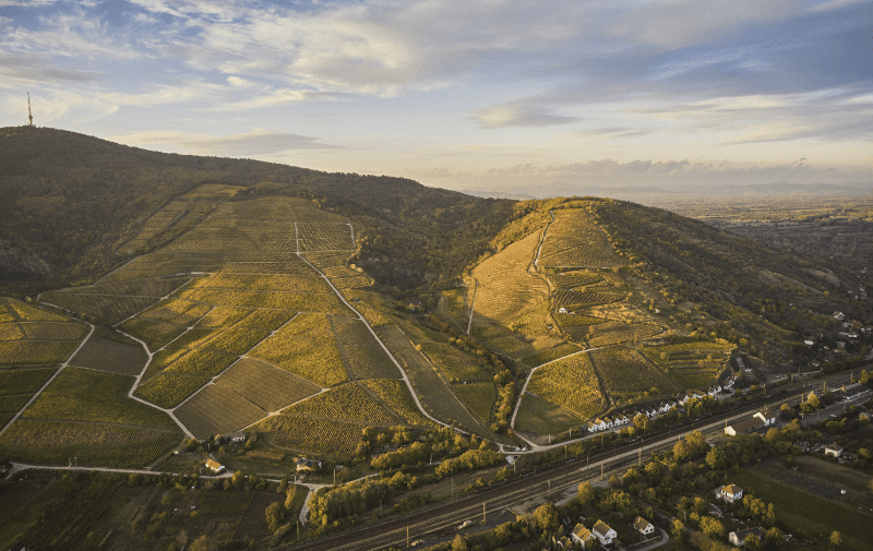 トカイの風景 鳥瞰図