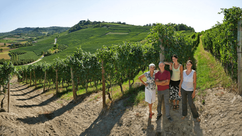 ぶどう畑の家族