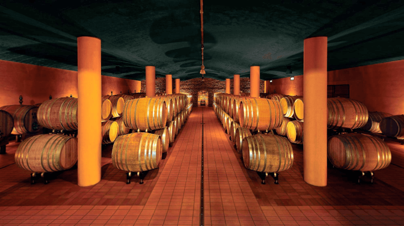 タレンティのセラーにて