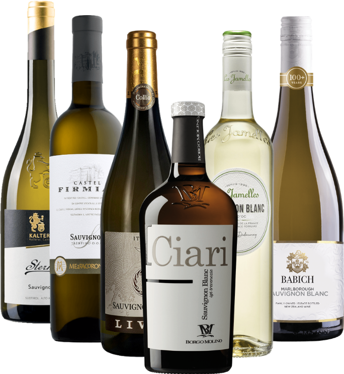 ソーヴィニヨン・ブランの魅力的な世界 ― ぶどう品種飲み比べ6本セット