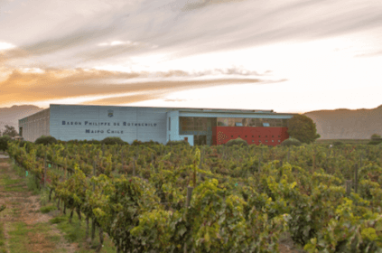 近代的なワイナリー