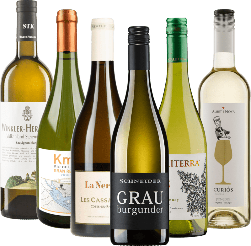 ヨーロッパを巡るロゼワインと - 6倍テイスティングパッケージ