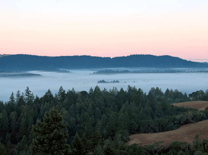 アンダーソン・バレー