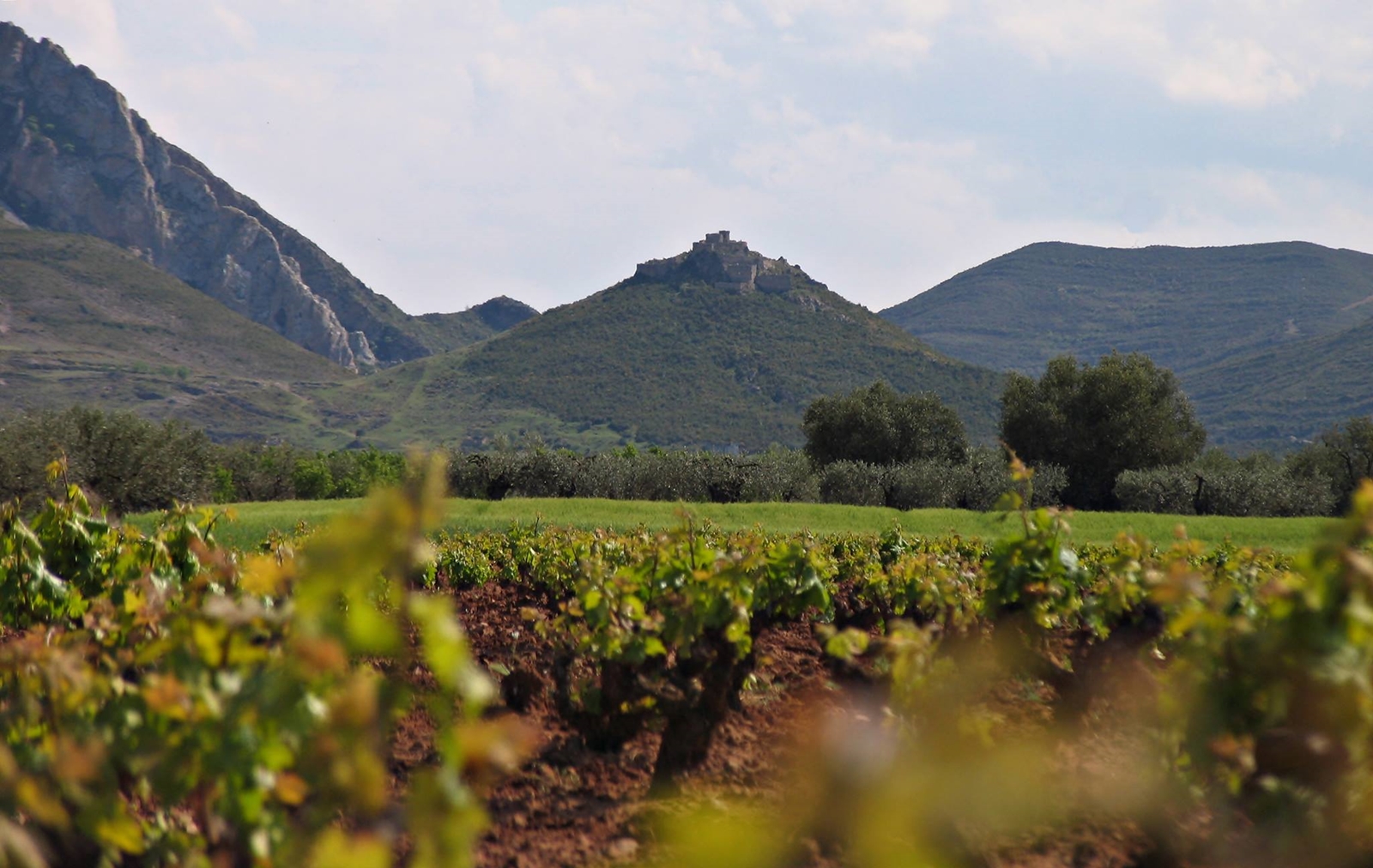 ヴァジェ・デ・フベラは完璧な栽培条件を提供する