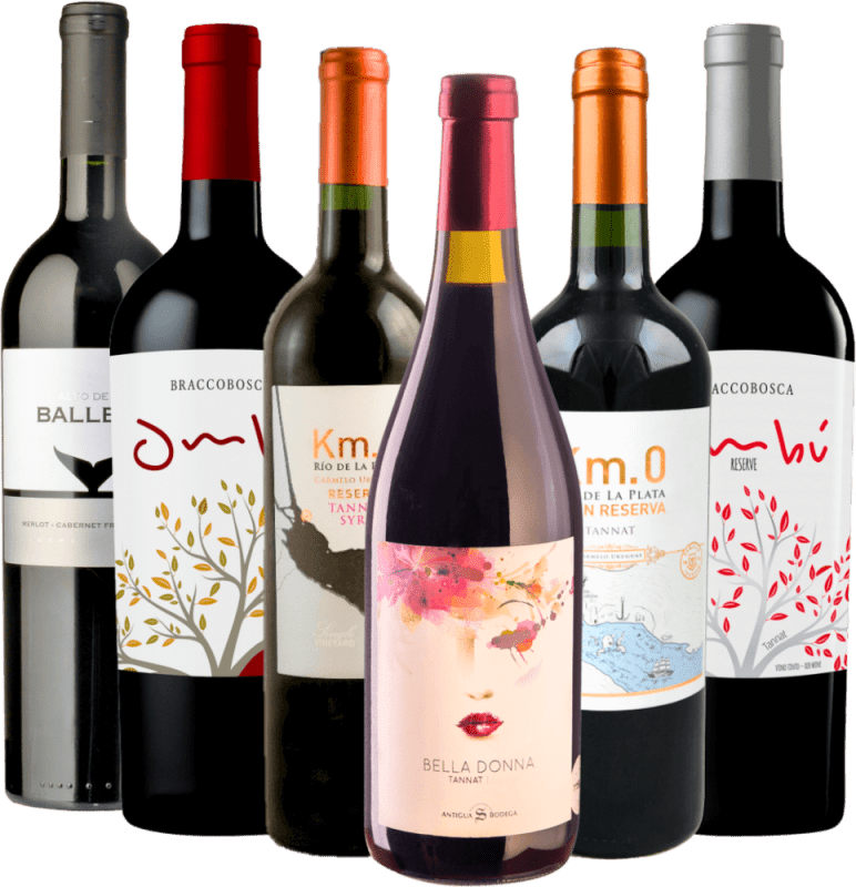 ベスト・オブ・タナ・ウルグアイ 6品種セット｜VINELLO ビネロ