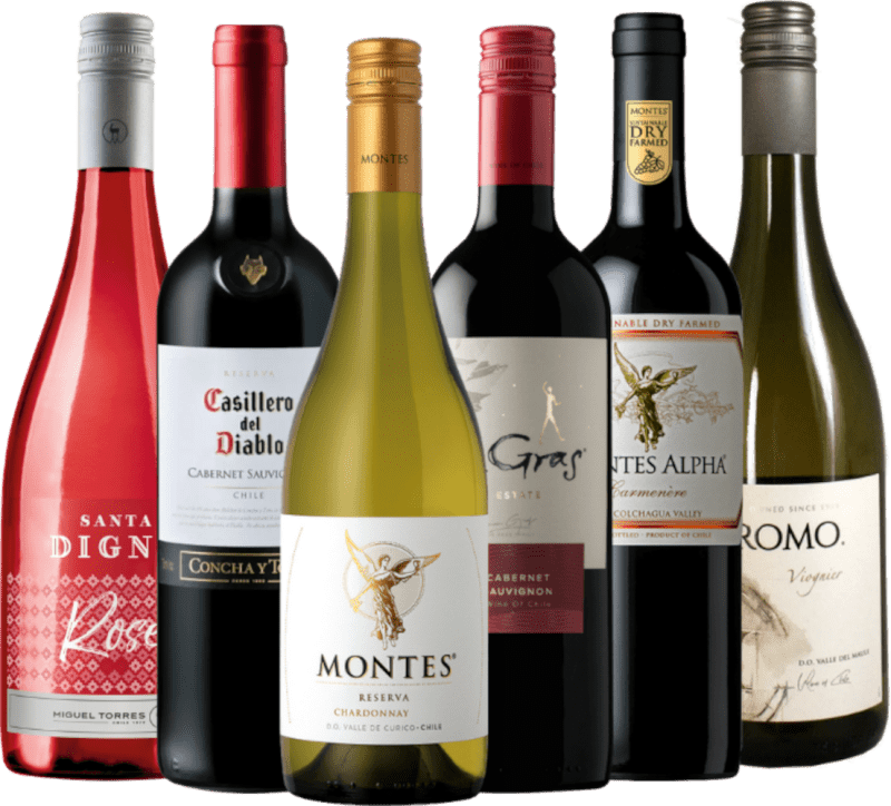 ワインの輪 ― チリのベストセラー 6本入り発見パック