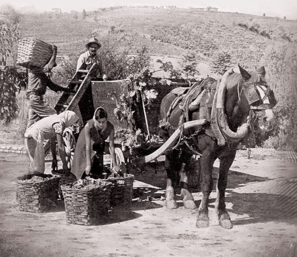 サンテロ・ファミリーの思い出 サンテロ・ファミリーの思い出