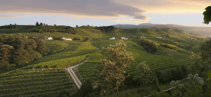 ヴァルドッビアーデネの丘