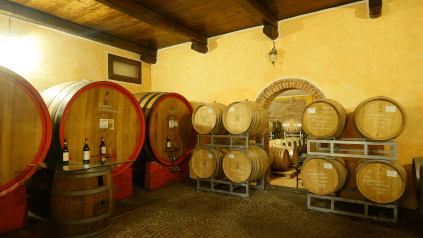 フィリッピーノ家のセラーを見る フィリッピーノ家のセラーを見る