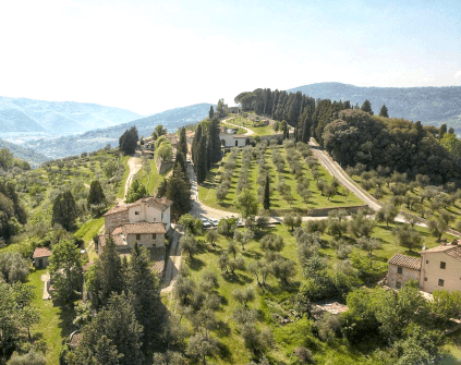 フレスコバルディ・ヴィンヤード