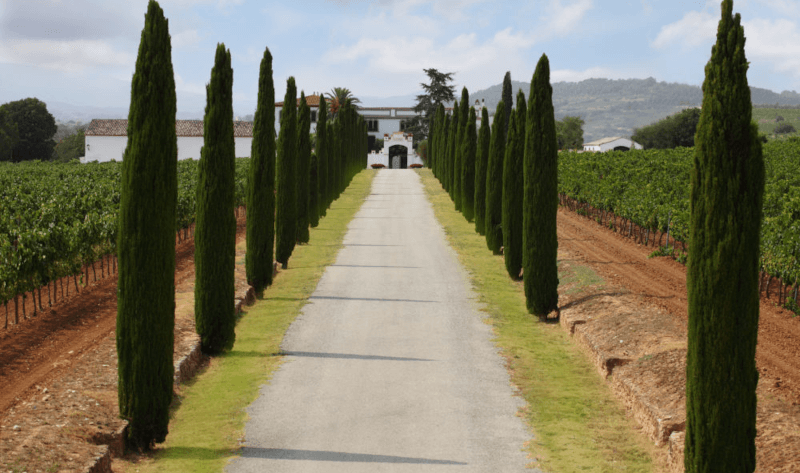 CAN BASアクセスロード