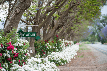 ロバートソンのデ・ウェットスホフ ロバートソンのデ・ウェットスホフ
