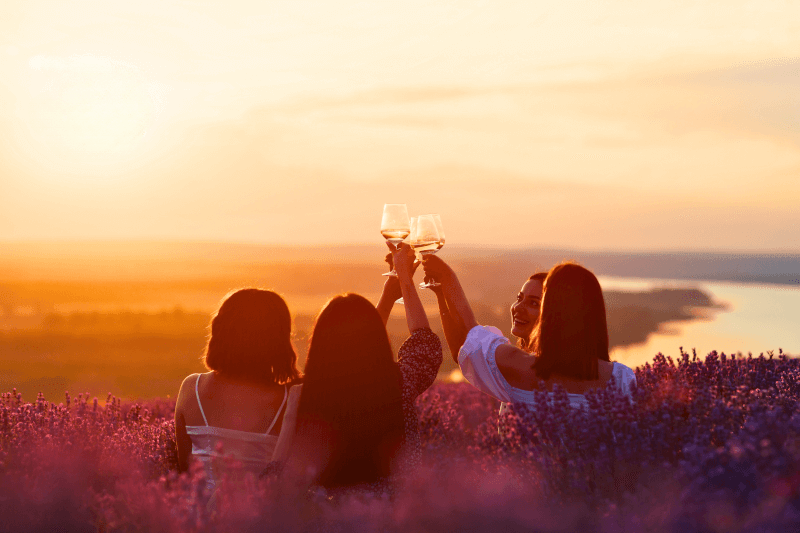Vier Frauen im Lavendelfeld mit Provence-Rosé Vier-Frauen-im-Lavendelfeld-mit-Provence-Rose