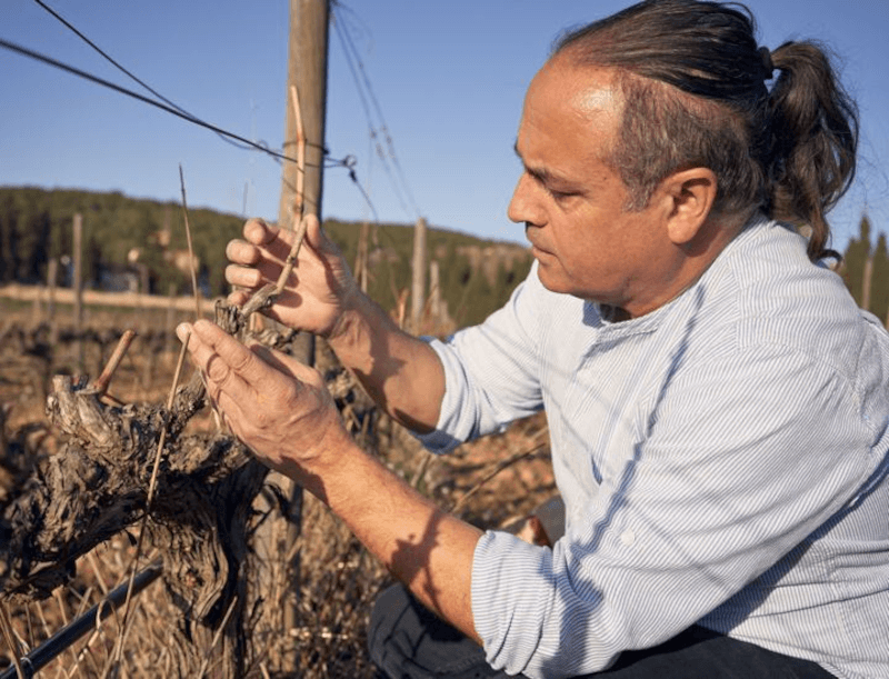 アルベト・イ・ノイヤ・ヴァインズ アルベト・イ・ノヤ・ヴァインズ