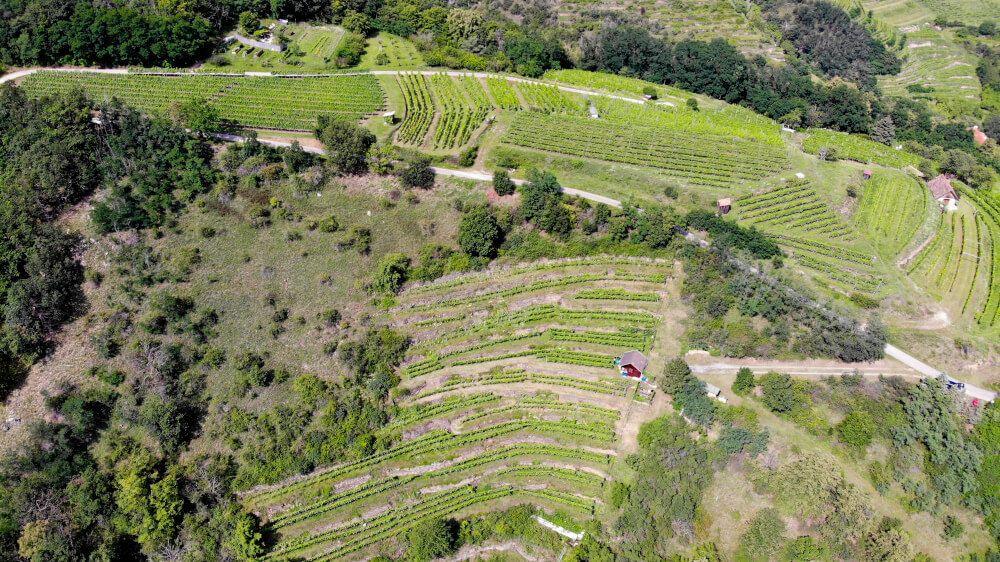リード・ゲイズバーグとアーバン・スタガード