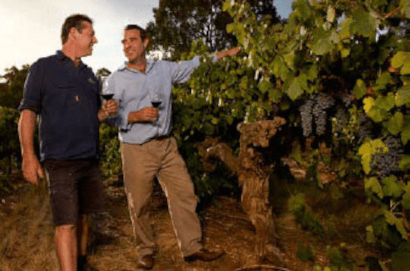 ラングマイル・バロッサ・ファミリー ラングマイル・バロッサ・ファミリー