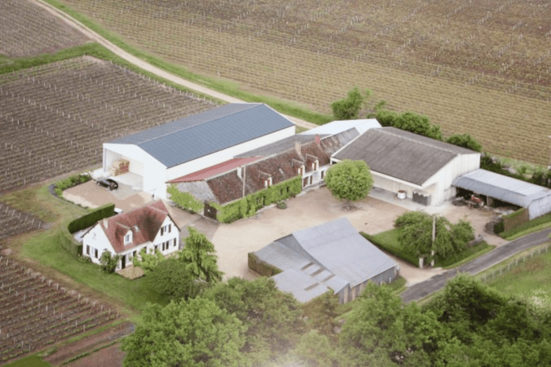 ワイナリー ワイナリー